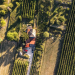 Neszmély – regija laganih, savremenih vina