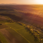 Szekszárd – toplina i elegancija crvenih vina Mađarske