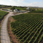 Vinarije Turske – otkrijte mirise i ukuse Egejske regije