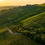 Eger – regija vrhunskih i karakternih vina Mađarske