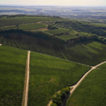 Villány – the heart of Hungary’s powerful red wines