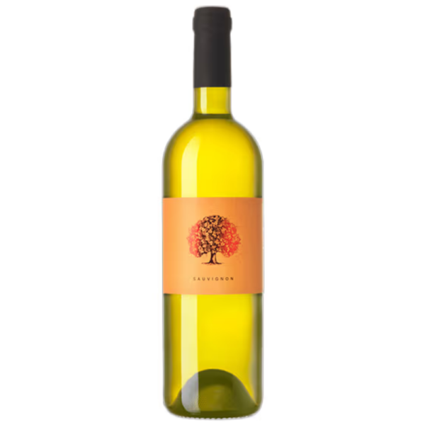 Sauvignon Blanc 2022 – Tilia Estate vinarija
