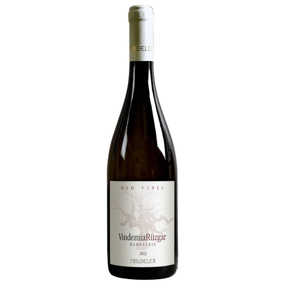 Yedibilgeler Vindemia Rüzgar Karasakiz 2023