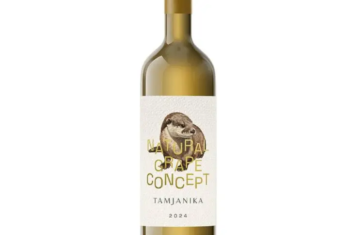 Tamjanika 2024 – Natural Grape Concept vinarija